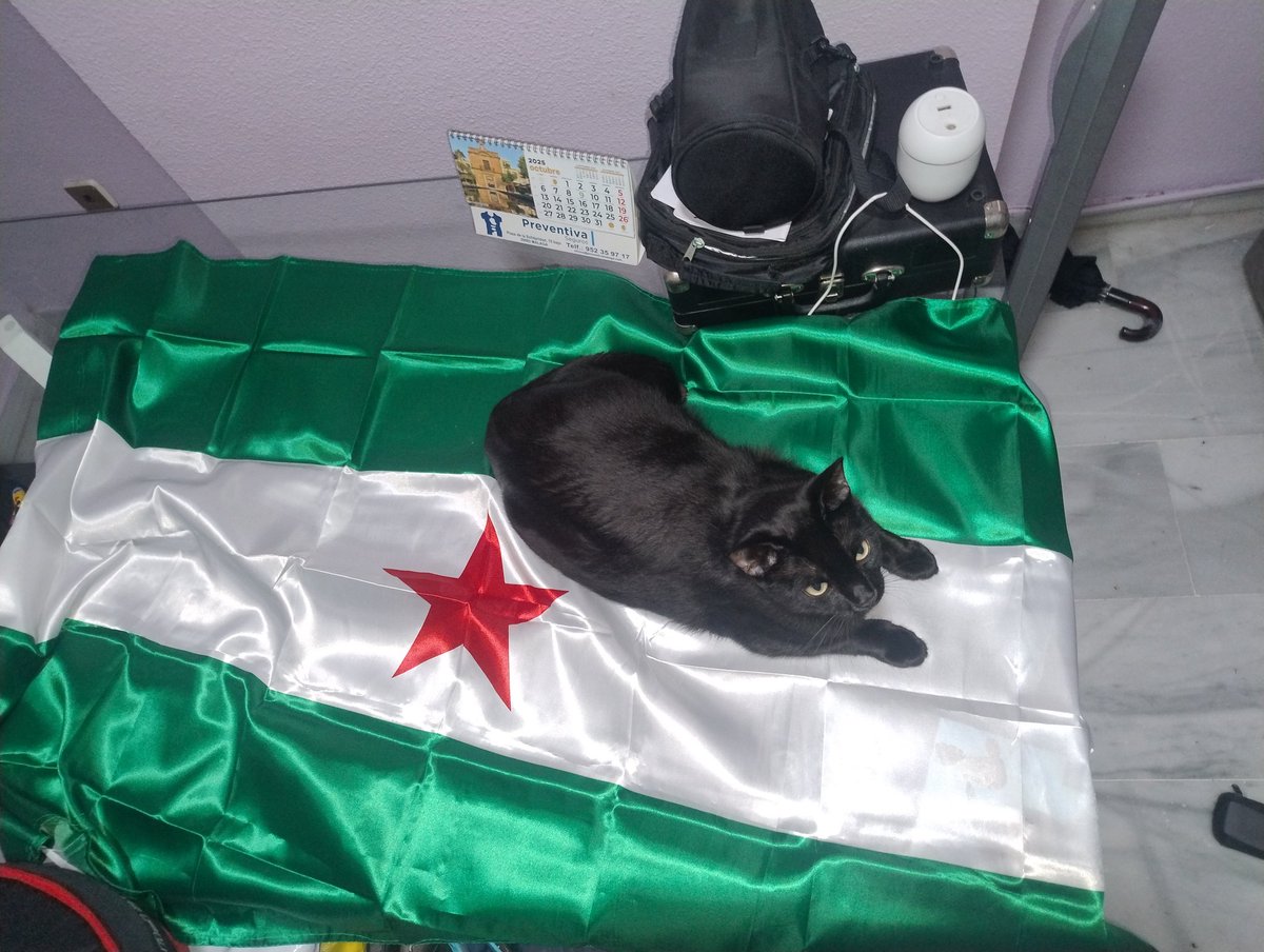 ñï€ølå$$$ tweet media