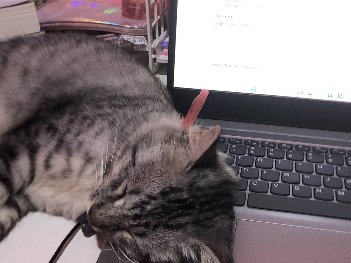 pineyz_'s tweet image. TOLONGGGGG ADA BISONNN 😭☝🏻malah turu ! tugas ku gmn weeee