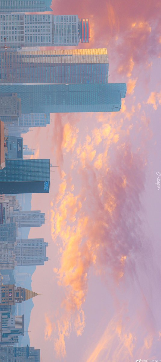 muuphasa's tweet image. 月曜日午後のメモ：湿度高め／まったり。散歩する→ストレッチする。今日もこつこつ。