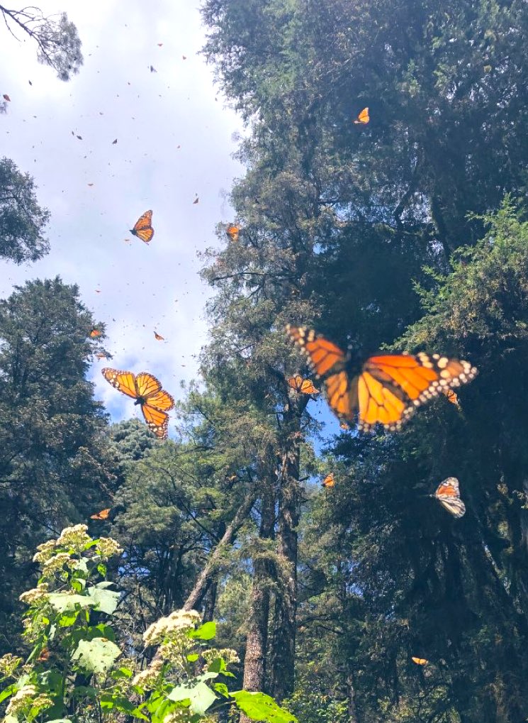 BeccaLynn🌻 tweet media