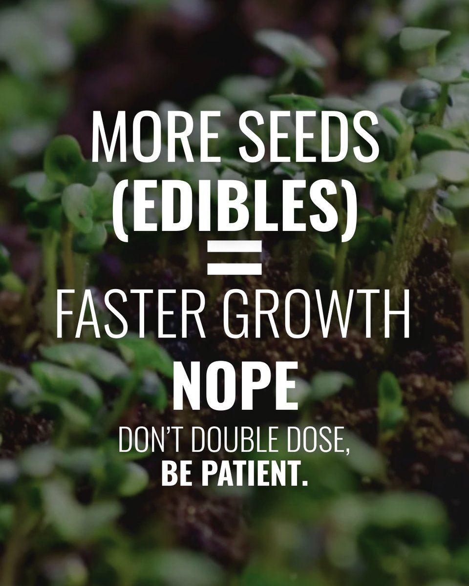 xshackai's tweet photo. Edible myths = busted. 🚫🌱
✅ Don’t double-dose.
✅ Be patient.
✅ Every type has its own trip.

Consider this your guide to edible gardening made simple — brought to you by XShack, where your cannabis journey actually makes sense. https://t.co/pNF8YMYsv9