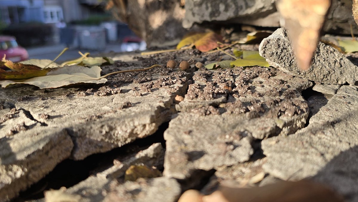 Urušava se zid Univerzitetskog kliničkog centra Srbije!

Potrebno je da nadležni što pre preduzmu adekvatne mere zaštite i na taj način spreče veće posledice po zdravlje i život ljudi.
Resavska ulica.