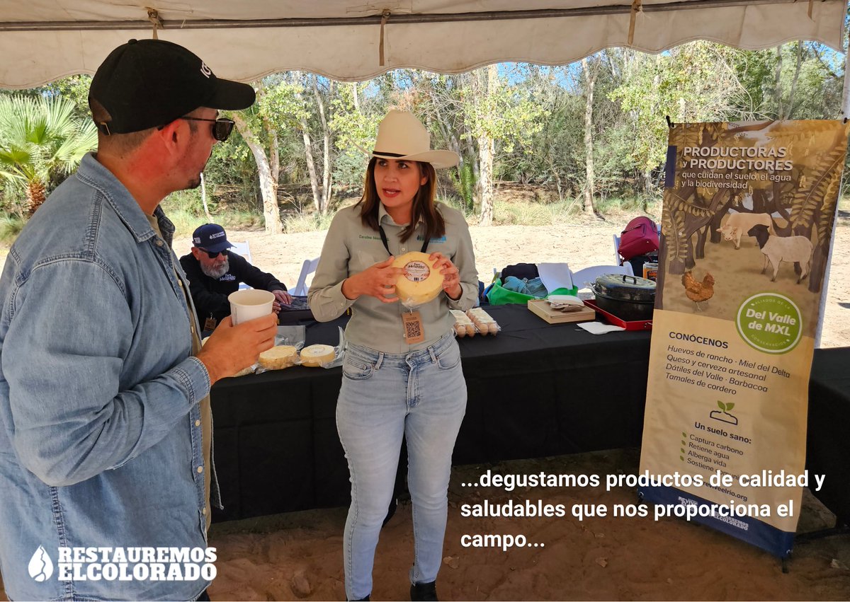 Restauremos El Colorado tweet media