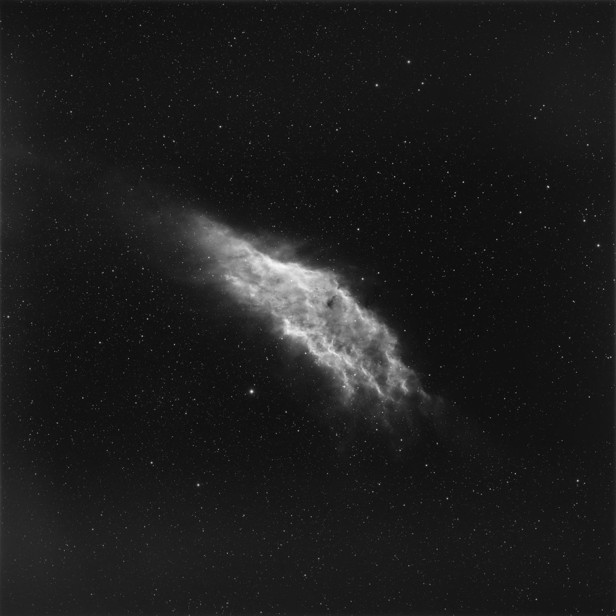 Hoping to add Oiii to M42 &amp; RGB to these 2 tonight 🤞🤞#astrophotography #samyang #135mm #ZWO #ASI533