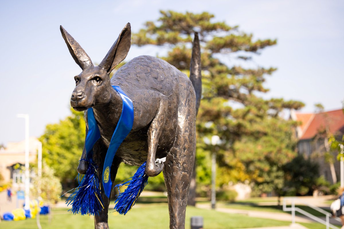 We're proud to introduce the Blue and Gold Distinguished Award, our largest university-wide automatic scholarship! Eligible first-time undergraduate students will receive $7,500 per academic year. This award is designed for high-achieving students ready to choose Kansas City's