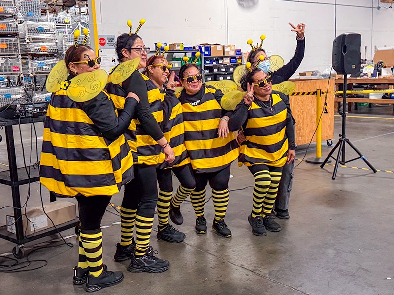 Finelite tweet media