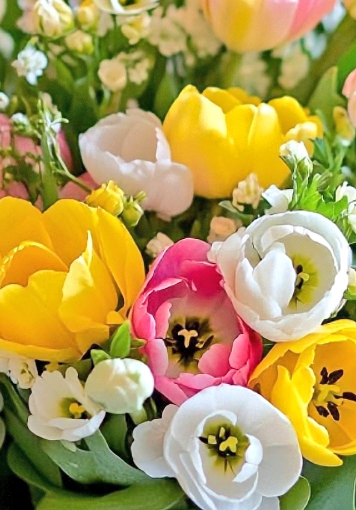 🌷おはよう御座います🌷

18/12℃青空が広がり洗濯日和🧺になる……予報。
毎日お仕事ご苦労様です。寒暖差に気をつけて｢行ってらっしゃいませ((🙋｣

日本国 国民の為、結党からブレず真っ直ぐな政党｢政策｣
🔷#日本保守党
🔷#日本を豊かに強く 
🔷義理・人情・恩返し・感謝

🇯🇵未来ある宝の為に🙏