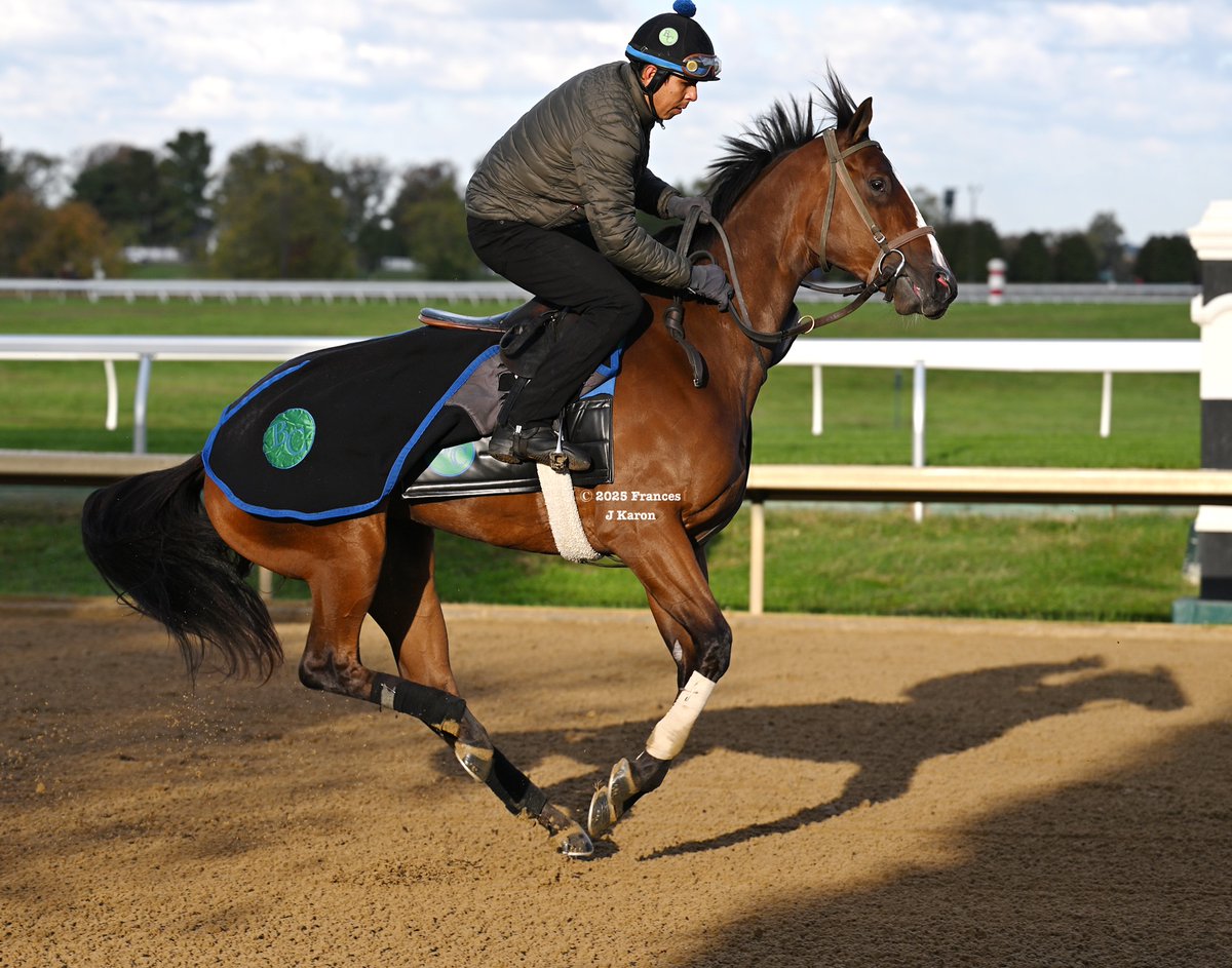 Percy's Bar says she's feeling great and juuuuust a little bit spicy, so y'all had better bring your A game to the Breeders' Cup.

<a href="/colebrookstable/">Colebrook Racing</a>