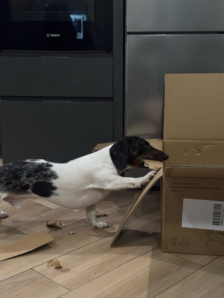 100% розуміння