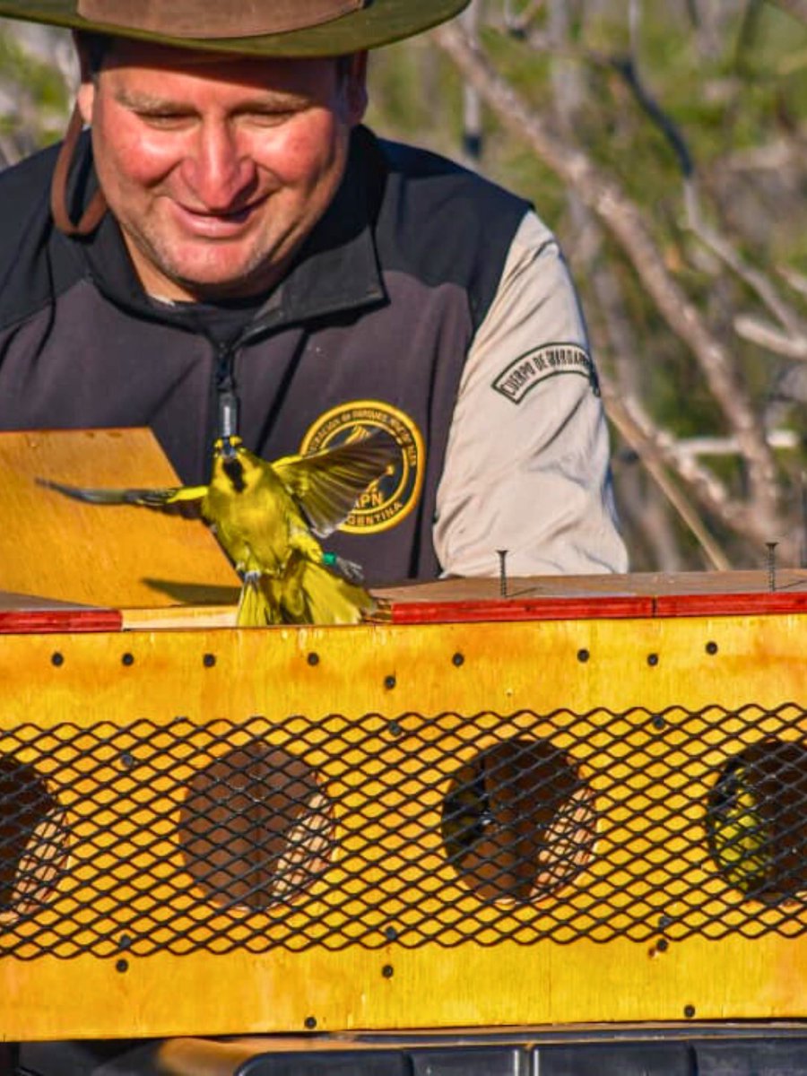 Fundación Temaikèn tweet media