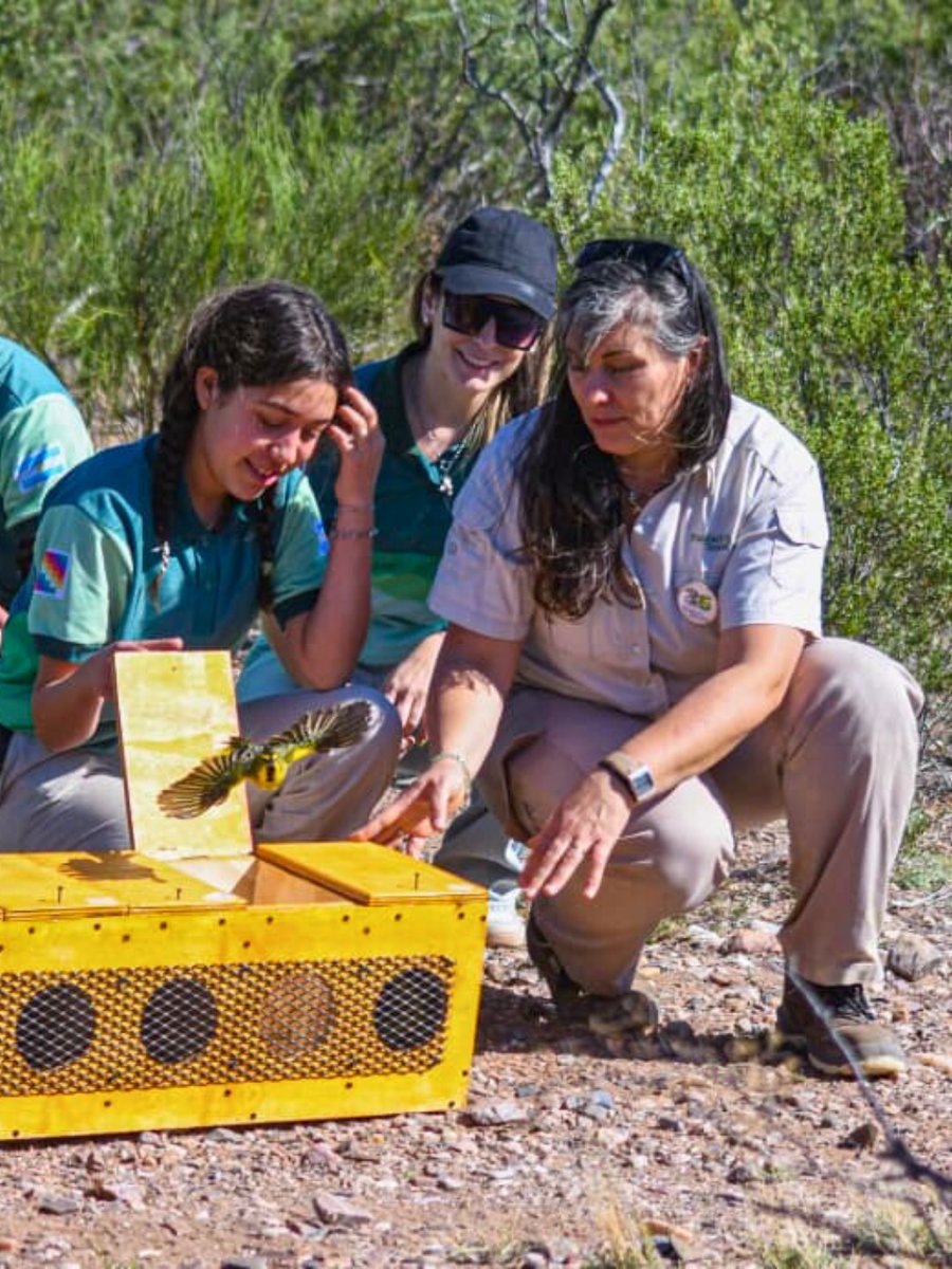 Fundación Temaikèn tweet media