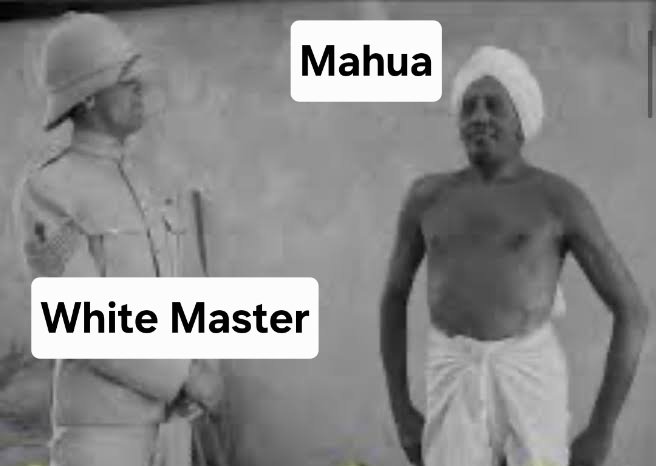 oldschoolmonk's tweet image. Mahua Moitra : I agree Saar , Indians are bad Saaar, give me one Dollar Saaar, I will be your slave Saaar