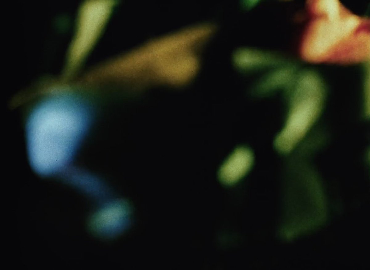 El Cuarto Acto tweet media