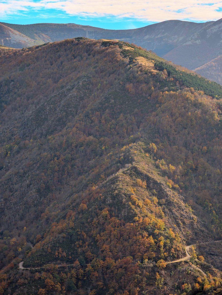 Amantes del Ciclismo tweet media