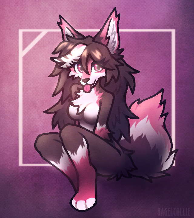 bagelcollie's tweet photo. A little trade back for @fieaux ~ https://t.co/yZTdK1hsd7