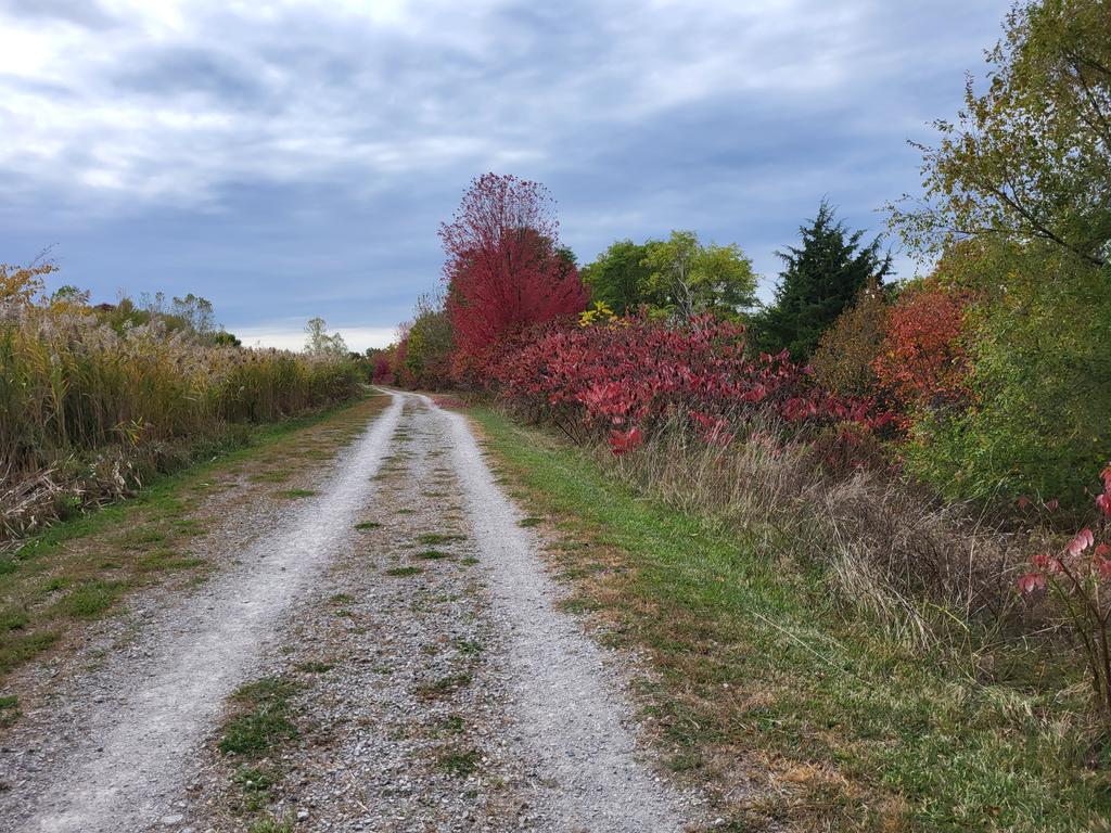 officialjpearce's tweet photo. That's some purdy colors! https://t.co/oxUuaFMgGt