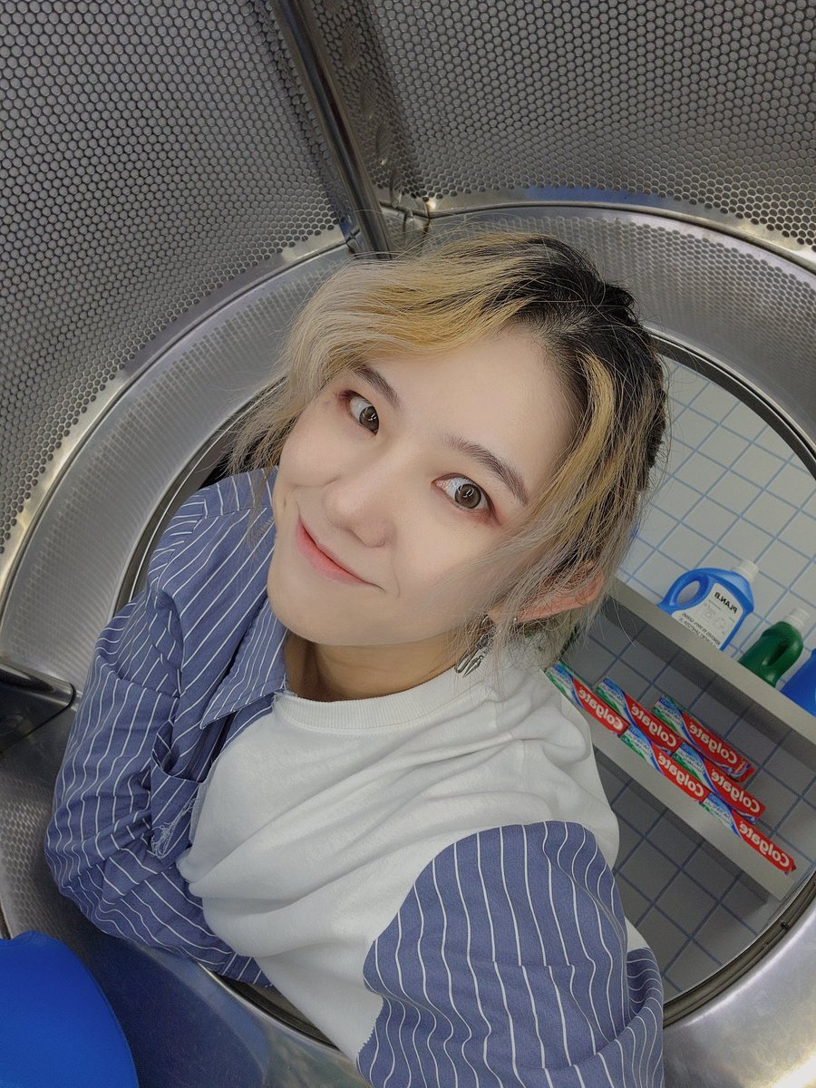 두두 tweet media