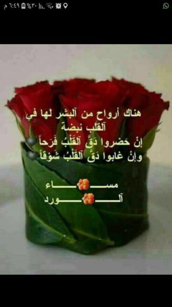 <a href="/Dania_derouiche/">دانية الحريري</a>