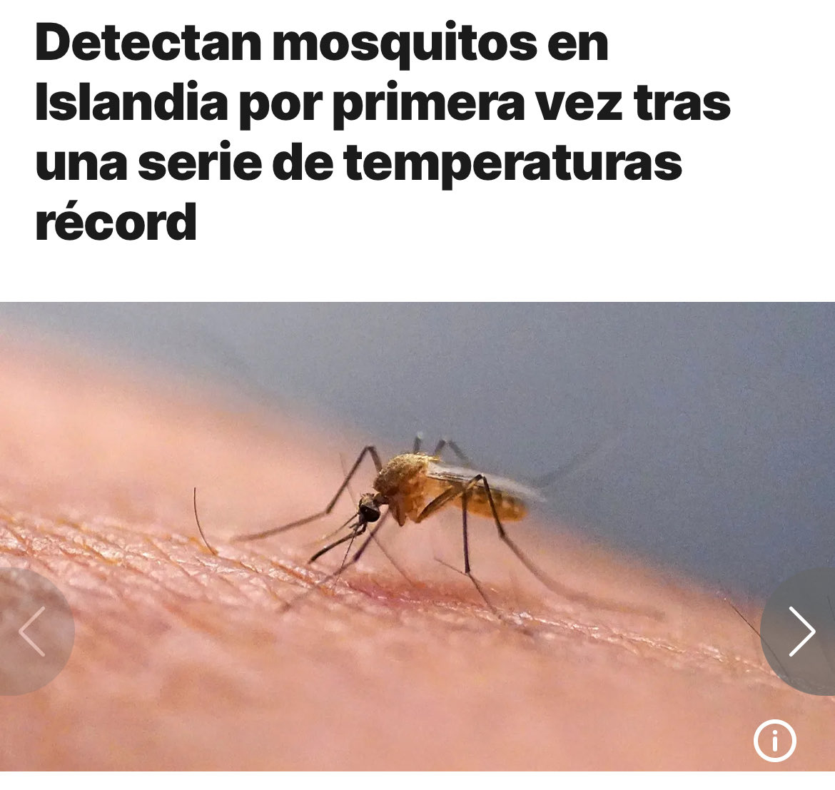 El cambio climatico es una realidad.
No solo en los cambios de distribucion, sino con cambios en la estacionalidad ❄️🌼☀️🍂 y en la productividad  🦟🦟🦟
Sin duda esto va a obligar a crear y/o modificar los planes de vigilancia y control vectorial 🌏 

es.euronews.com/green/2025/10/…