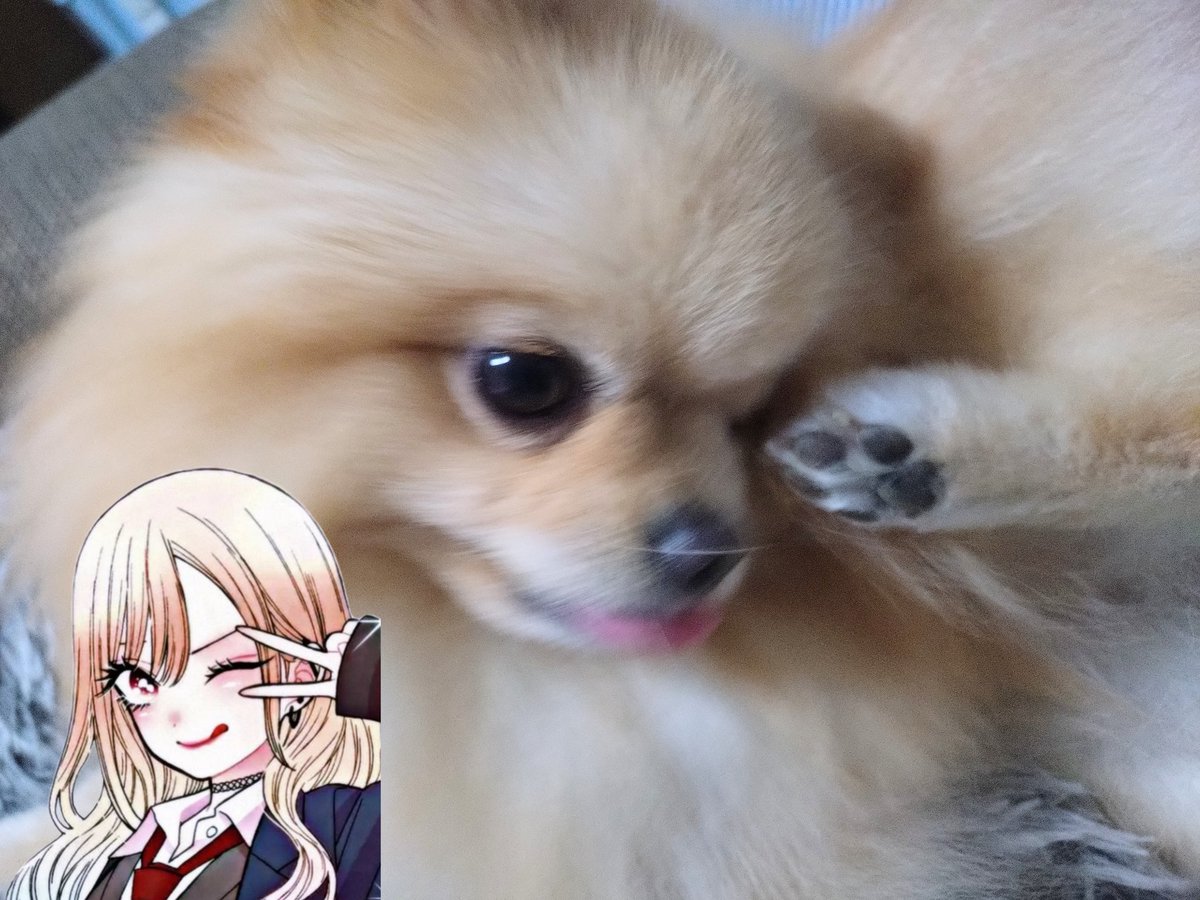 ギャルポーズもできちゃう🩵❤️