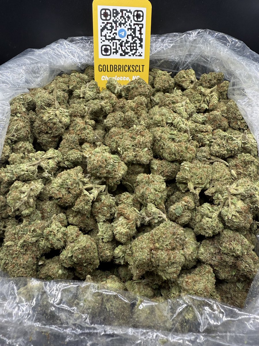 GOLDBRICKSNC's tweet image. ZACK’S PIE 🥧 

DM FOR MENU 

#CLTPLUG #CHARLOTTE #CLTPLUGS #CHARLOTTEWEED #PLUG #CLTGAS #CHARLOTTEGAS #CONCORD #UNCC #UNCCPLUG #JWU #UPTOWN #SOUTHPARK #CLTWEED #CLT #CLTFREAKS #CHARLOTTEFREAKS #CHARLOTTEPLUGS