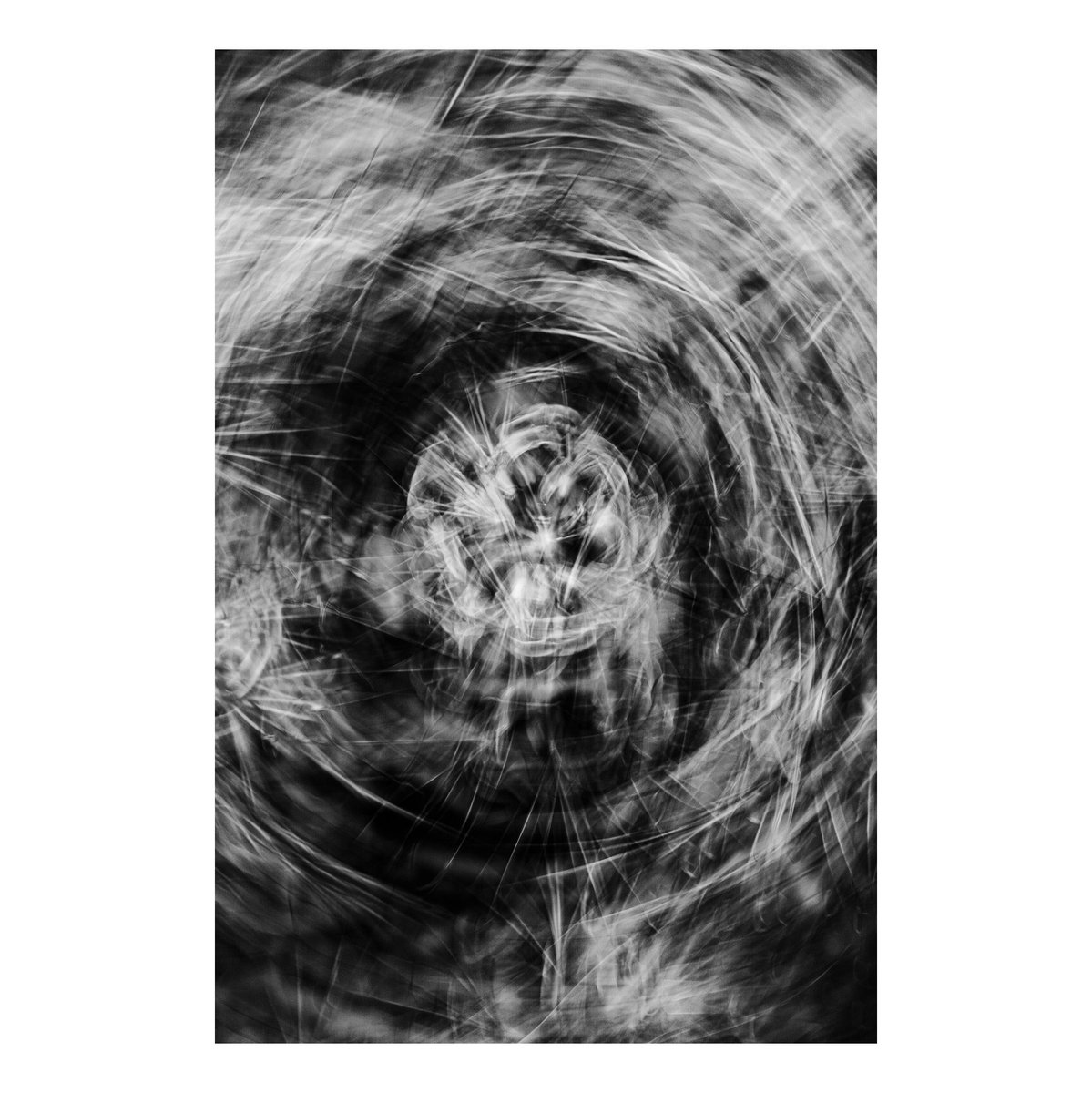 _90884's tweet image. 渦

#ICM
#IntentionalCameraMovement
#AbstractPhotography
#FineArtPhotography
