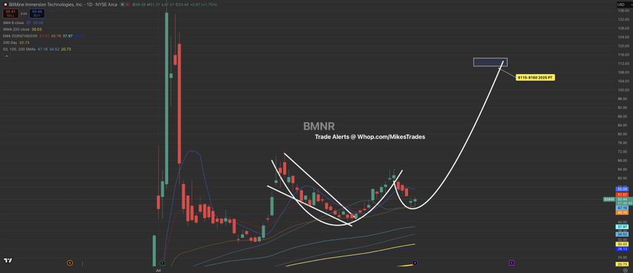 I called the bottom on $HOOD at $29, $TSLA at $210, and $AMD at $76…

All 3 of these picks ran well over 110%+ and I am now calling for $BMNR to do the same.

This is a final warning for all bears, and to expect 200%+ upside within the next 3 months.

$120+ incoming this year…