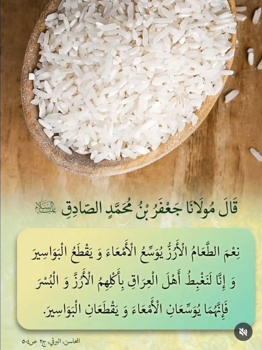 قَالَ مُولَانَا جَعْفَرُ بْنُ مُحَمَّدٍ الصَّادِقِ
عليه السَّلام
نِعْمَ الطَّعَامُ الْأَرْزُّ يُوَسِّعُ الْأَمْعَاءَ وَ يَقْطَعُ الْبَوَاسِيرَ وَ إِنَّا لَنَغْبِطُ أَهْلَ الْعِرَاقِ بِأَكْلِهِمُ الْأَرُزَّ وَ الْبُسْرَ فَإِنَّهُمَا يُوَسِّعَانِ الْأَمْعَاءَ وَ يَقْطَعَانِ .