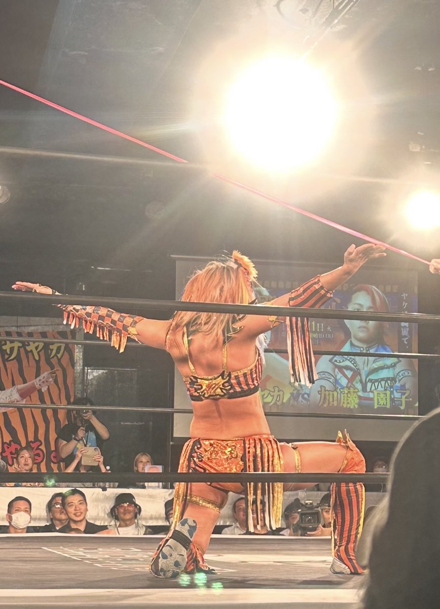 しゃけさんページ 🌙焼しゃけ🥒 on X