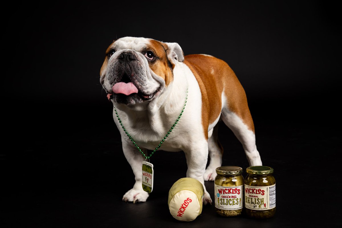 Dak - Bully XXII tweet media