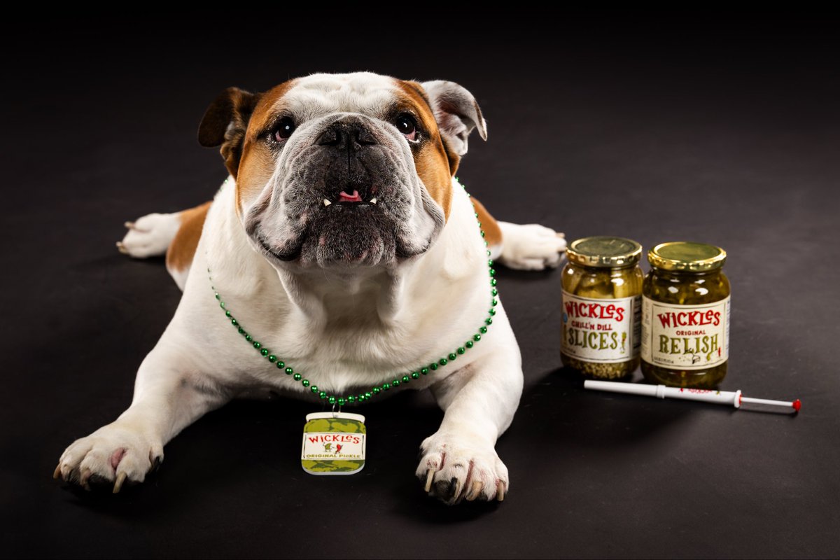 Dak - Bully XXII tweet media