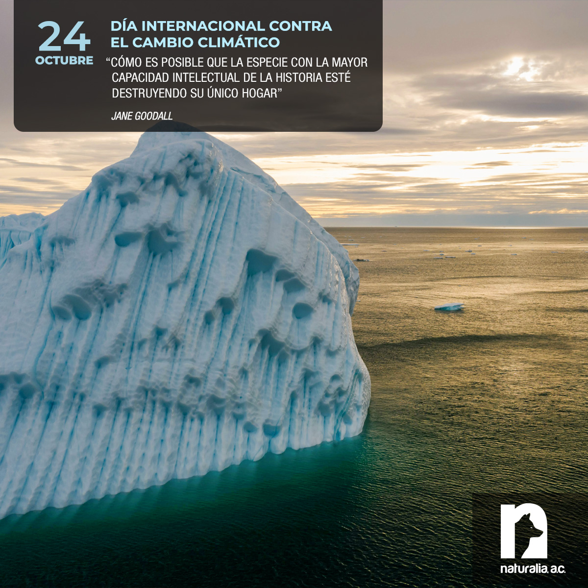 24 de octubre. Día Internacional del Cambio Climático
"Cómo es posible que la especie con la mayor capacidad intelectual de la historia esté destruyendo su único hogar"
- Jane Goodall