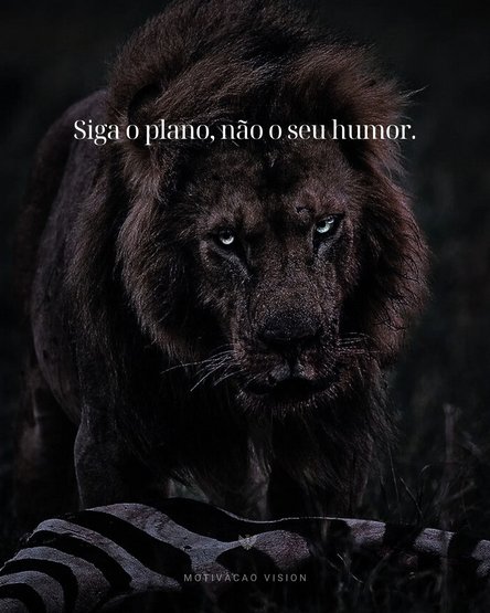 Você não faz o que tem vontade, faz o que precisa ser feito.