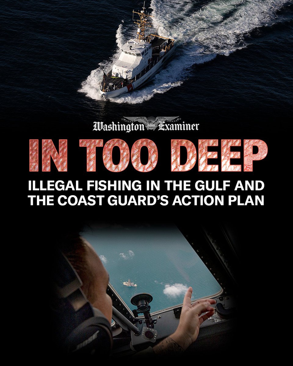 dcexaminer's tweet image. IN TOO DEEP: Illegal fishing robs US economy of millions of dollars. Here’s what the Coast Guard is doing about it.

READ: tiny.cc/h86u001

#USCoastGuard #illegal #fishing #economy