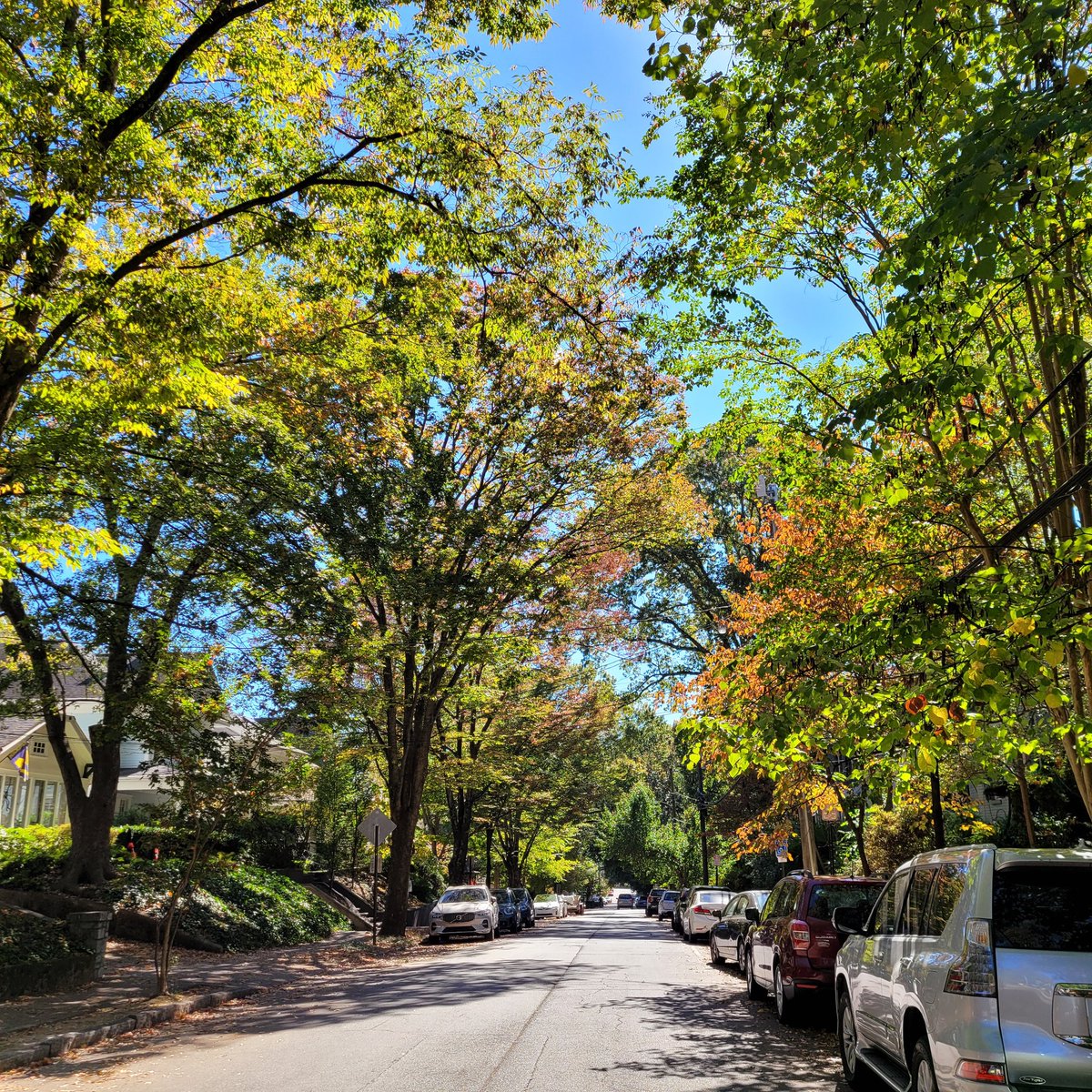 .
Thursday afternoon
driving through the trees
MidtownAtl
°75, sunny, low humidity
Beautiful
.