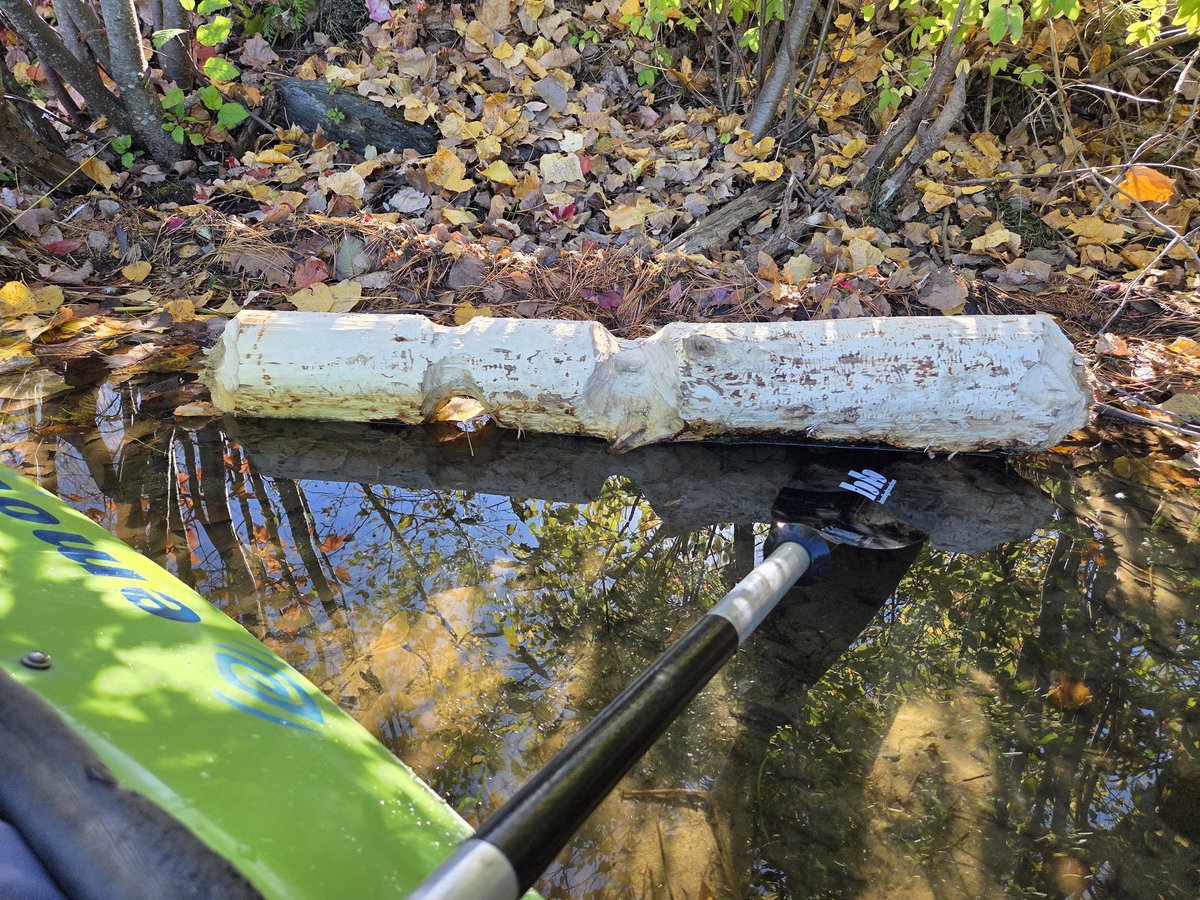 Sunset facing East 
Playing with rocks 
🦫 woodwork on my ride this afternoon
