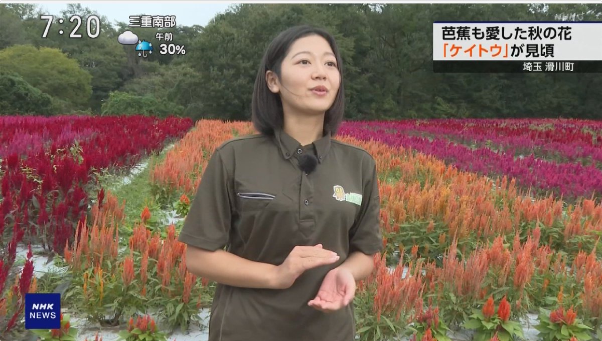 おはよう日本 - Search / X