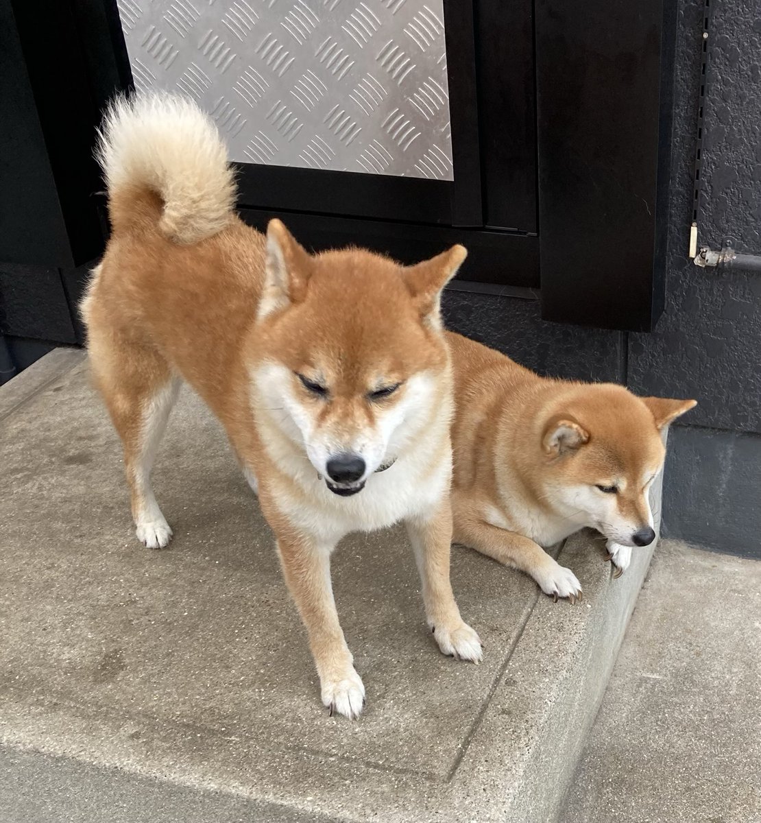 tomeno (@tomeno12) / X