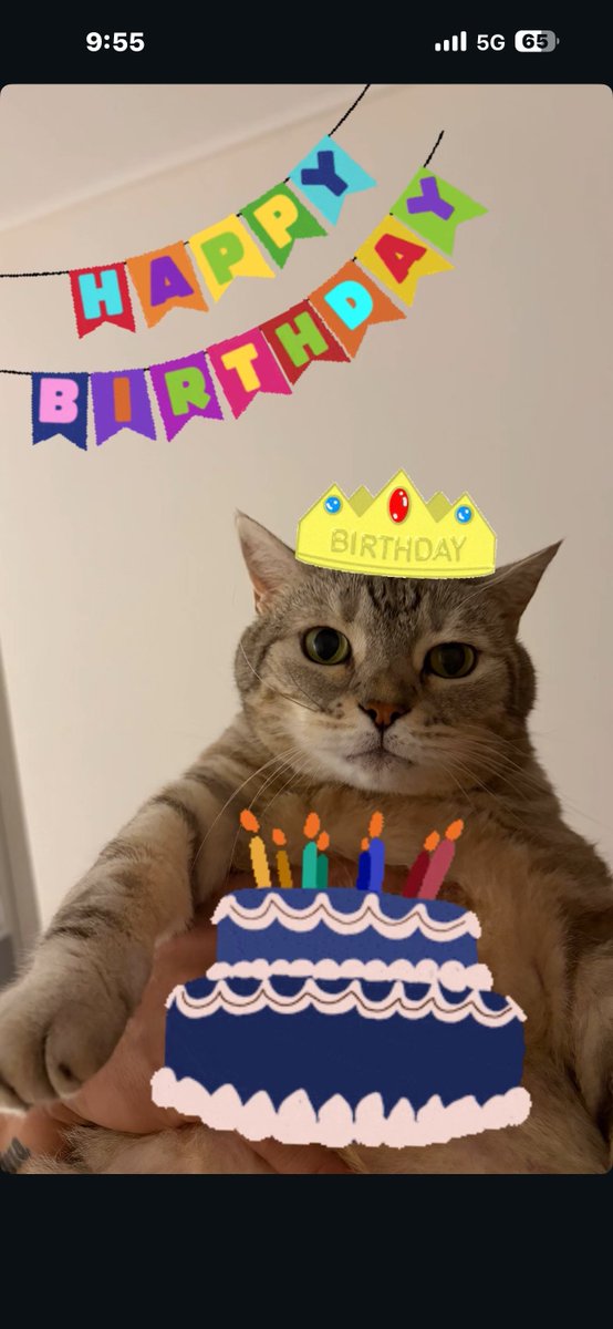ceolmh3's tweet image. 오늘은 저희집 막내 
귀염둥이 호두 생일입니다 
아직도 제 눈에는 애기같은데
벌써 11살이네요 🥲🥲
건강해라 호뚱아 💕💕😻😻