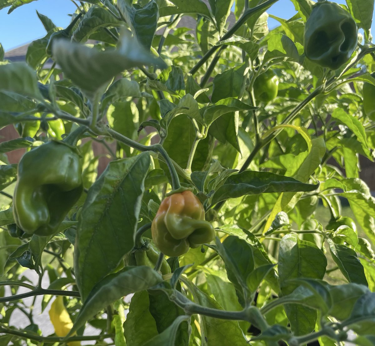 Come ON Baby! 👊🏼💥