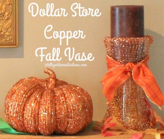 shirleywood97's tweet image. Make this Copper Tabletop Vase using simple, inexpensive supplies from the Dollar Store. #diydecor #fallhomedecor #autumnhome
intelligentdomestications.com/dollar-store-d…