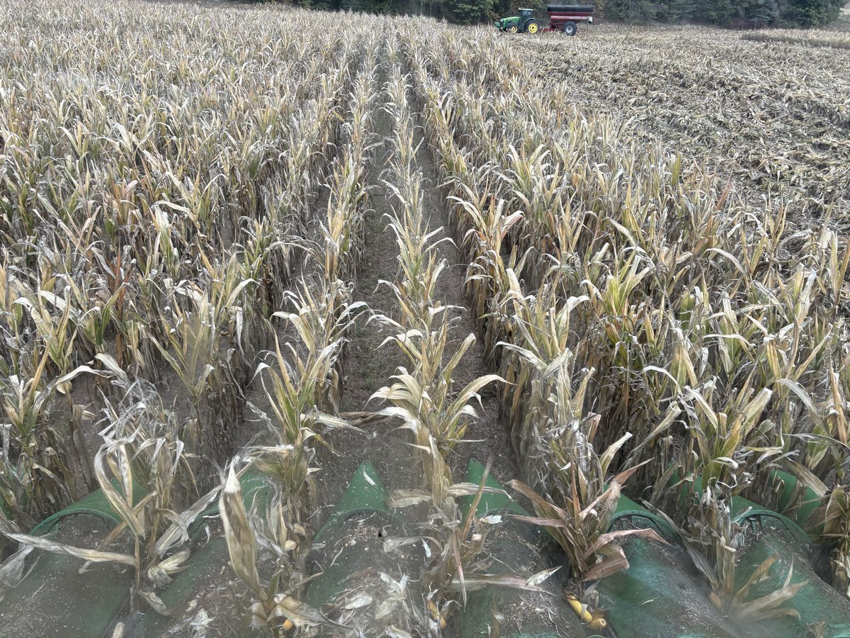 Pete’s Sweet Tweets tweet media