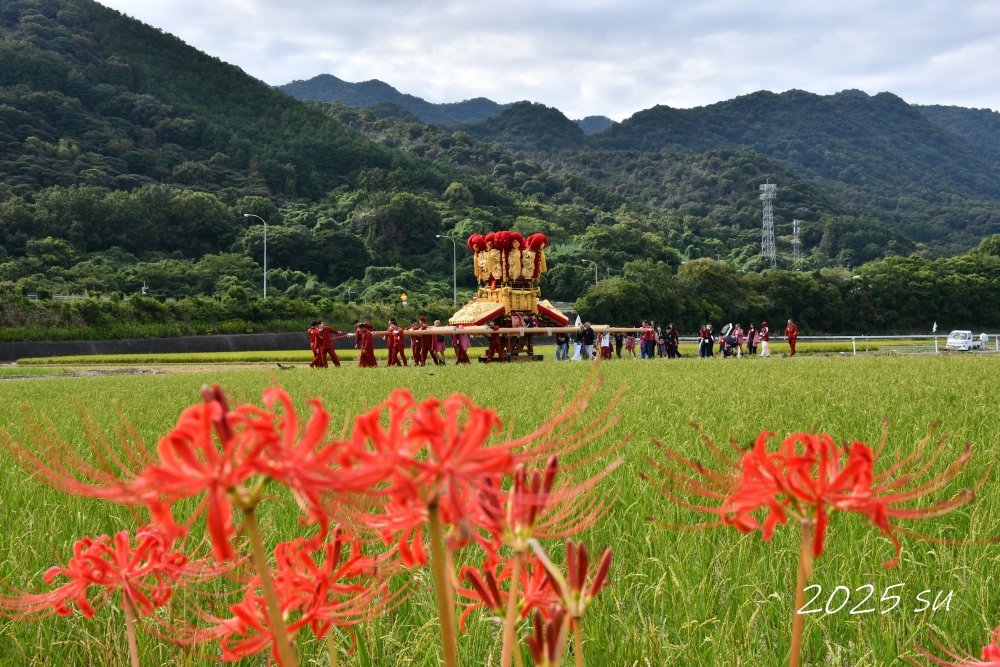 sinonome1001's tweet photo. 恵比寿太鼓台です。2025年撮影　
皆さんお疲れさまです。 https://t.co/udZXM83WYg