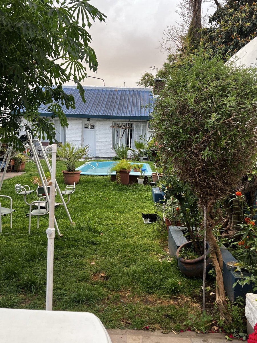 ivanp___'s tweet image. esto y escuchar los redondos todo el dia