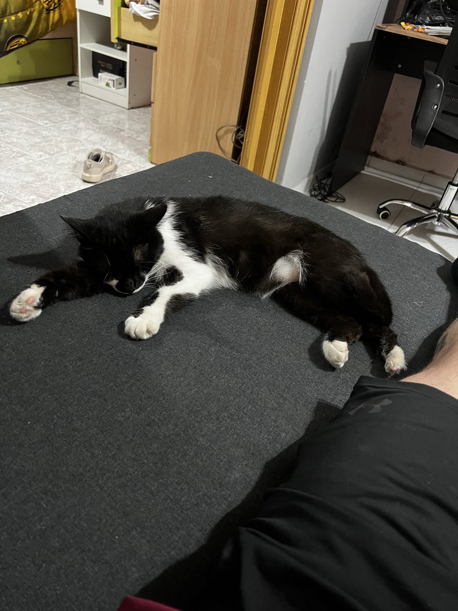 ivanp___'s tweet image. esto y escuchar los redondos todo el dia