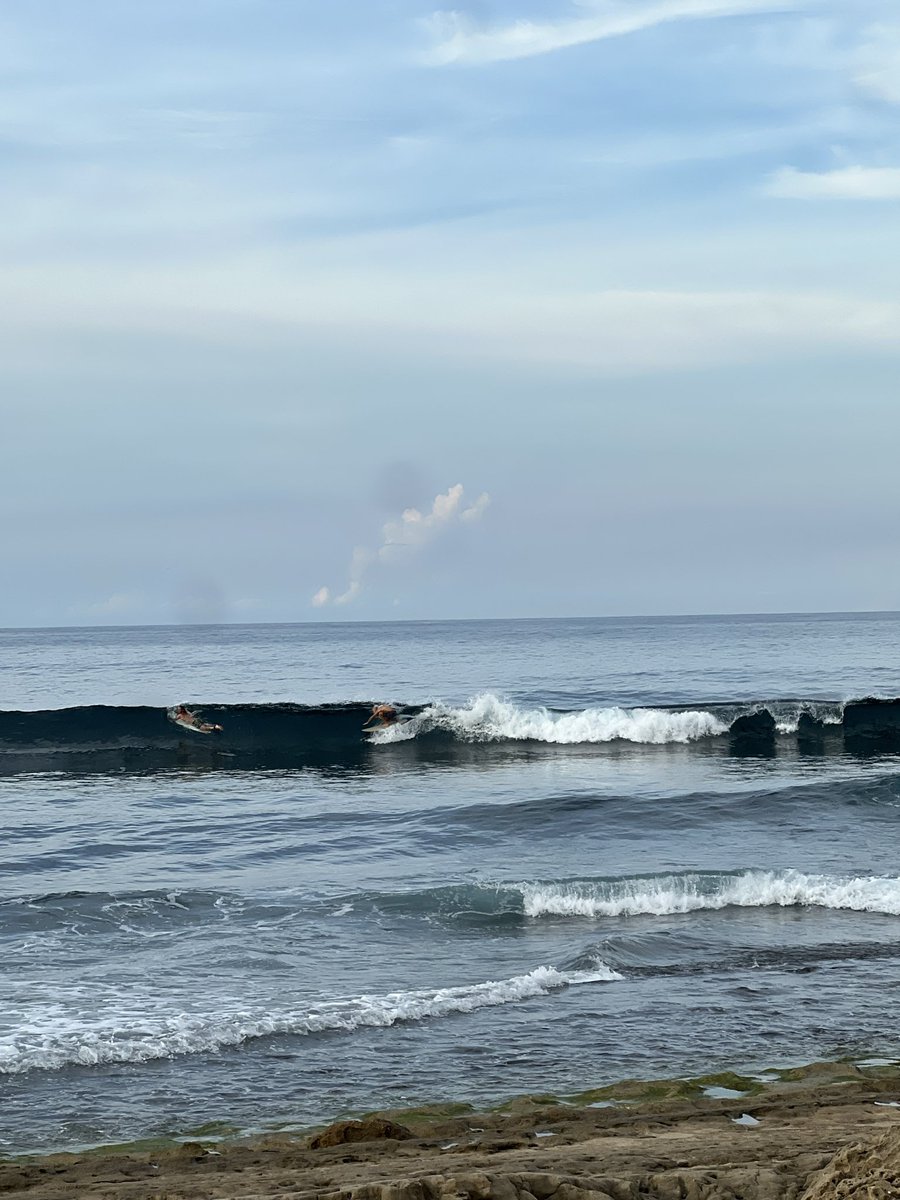 dgtlgal's tweet image. Went to check some surfers to celebrate @GoodVibesssClub 10k milestone but also the absolutely outstanding strategy drop. 

Many brands paved the way in 2021 but proved that something was missing: real world business experience.

GVC has all that + a web3 vision true to itself 🤙