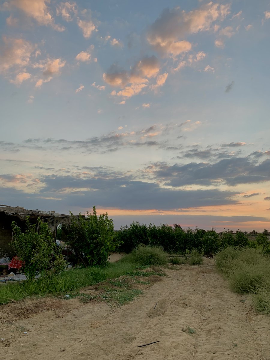 abu7alima's tweet photo. 🌾🌥️ https://t.co/62nzXT0sFc