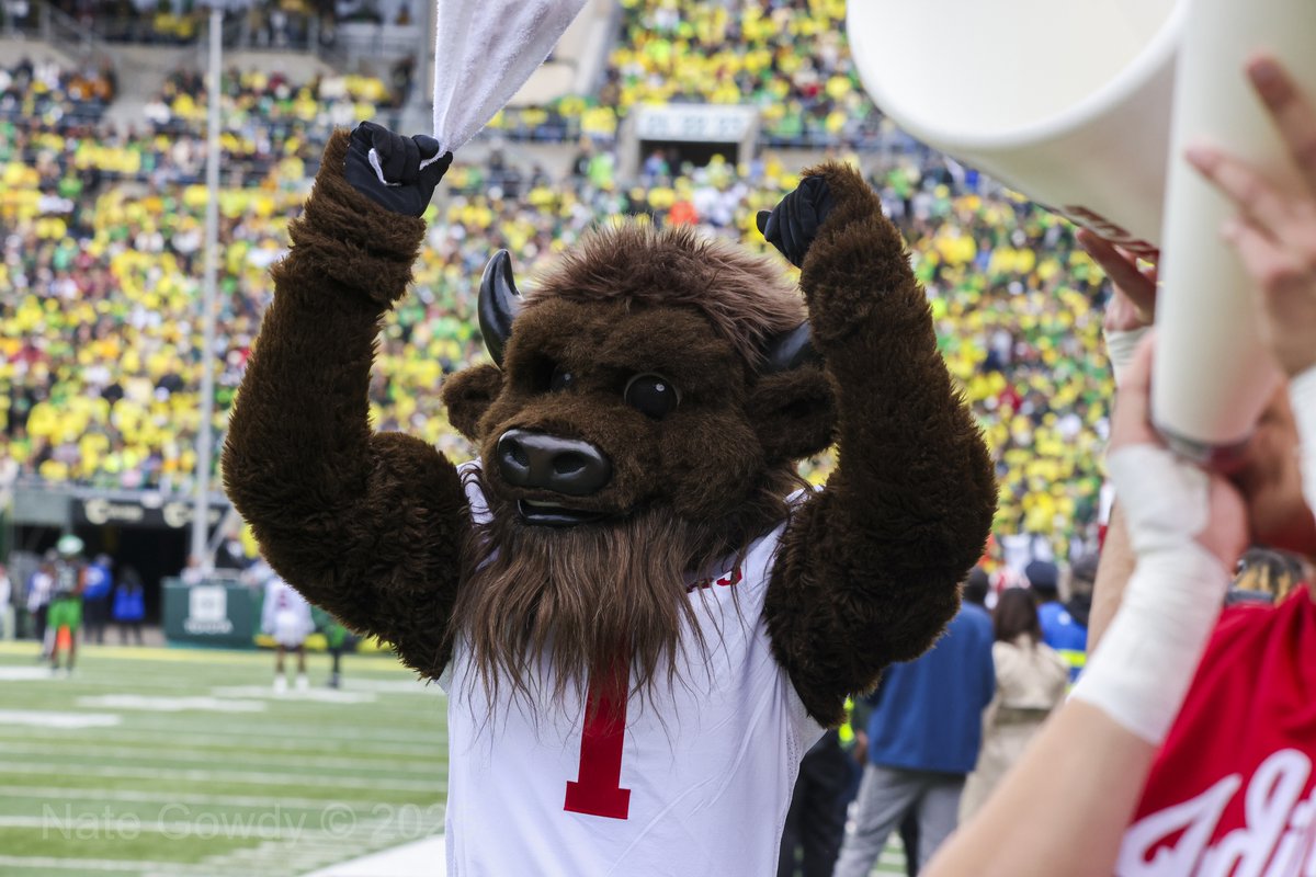 EUGENE, OREGON - OCTOBER 11: Hooser the Bison cheers for the Hoosiers during an NCAA football game against the Oregon Ducks at Autzen Stadium on October 11, 2025 in Eugene, Oregon. (Photo by Nate Gowdy/for The Bloomingtonian)

bloomingtonian.com/2025/10/11/gal…