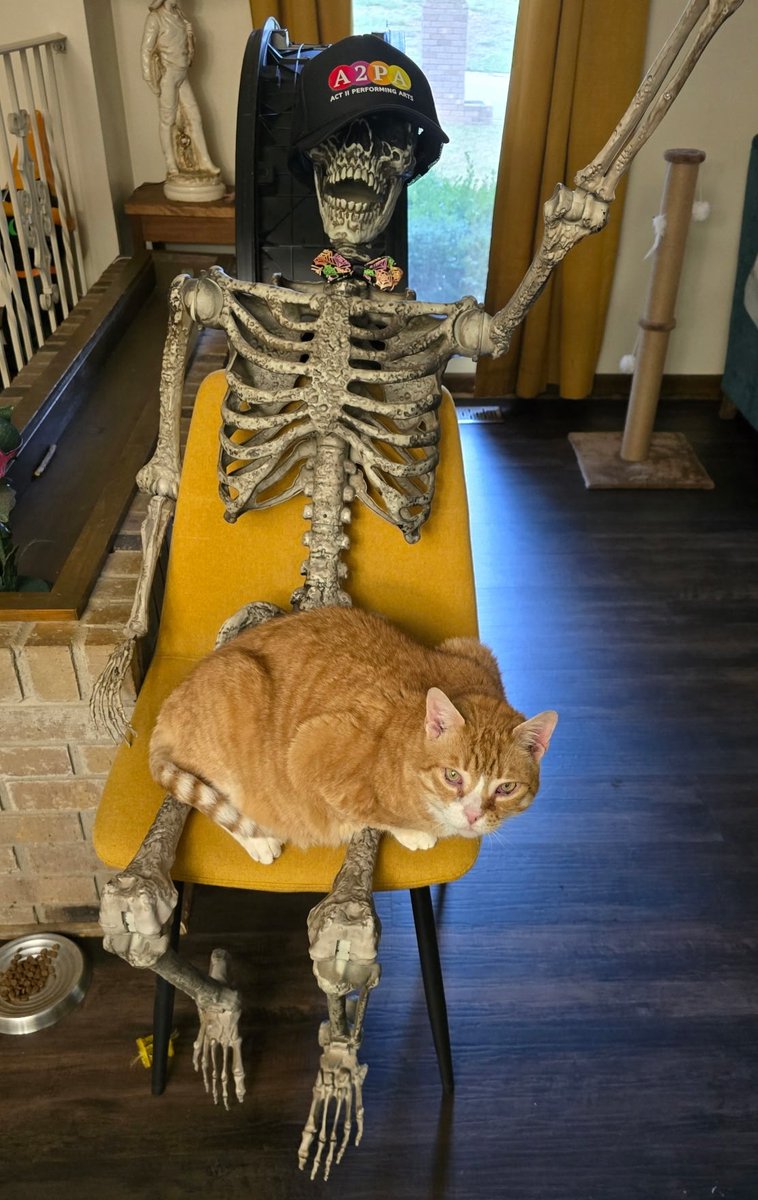GoghCat's tweet image. Spooky Caturday vibes 💀
#Caturday #spookymonth
#spooky #Halloween #Halloween2025