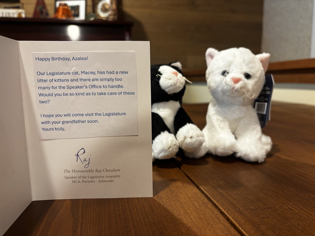 DylanaKneeshaw's tweet image. Azalea often watches the BC legislature with her Shëtsǫ to see Papa on TV, &amp;amp; Mr. Speaker is her favourite “character”. So this bday surprise from @BCLegSpeaker was pretty darn cool. Thank you @rajchouhan!